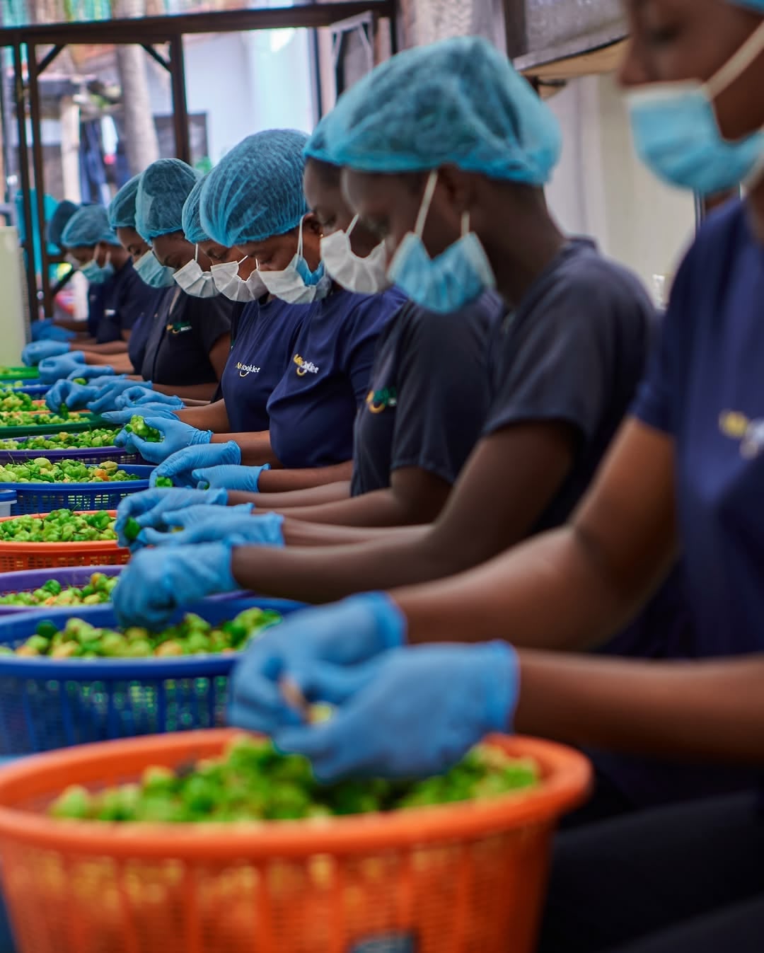 Workers at Miss Cookie Shop