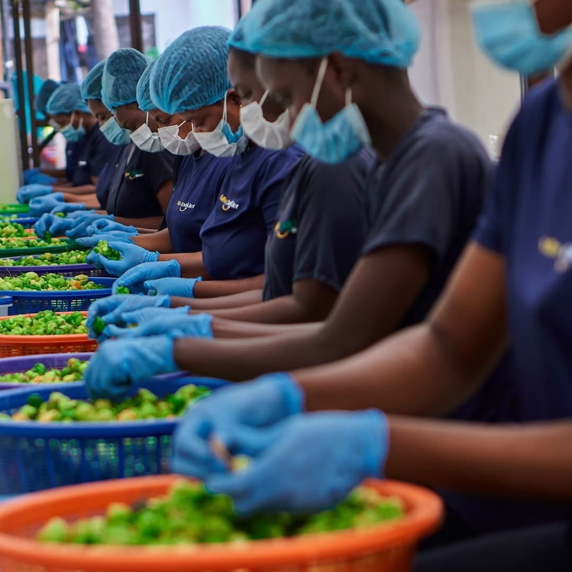 Workers at Miss Cookie Shop